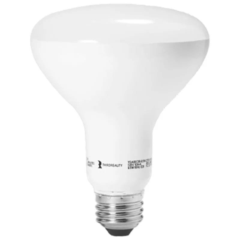 Third Reality 3RSL012Z — BR30 Smart Light Bulb